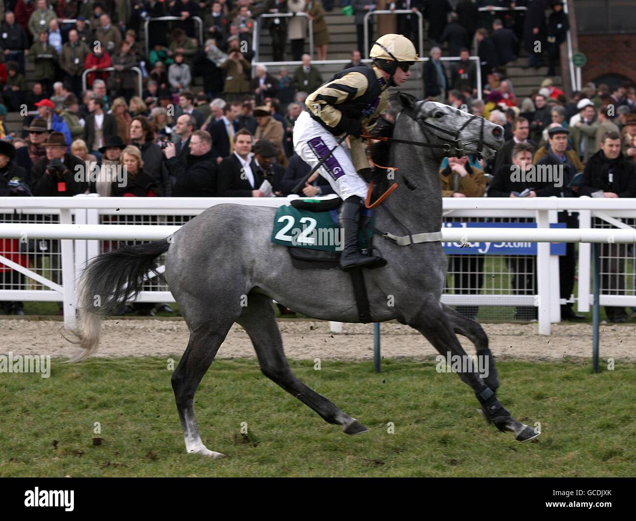 Pferderennen - 2010 Cheltenham Festival - Tag Zwei. Stormy Weather, das von Denis O'Regan geritten wird, postet Stockfoto