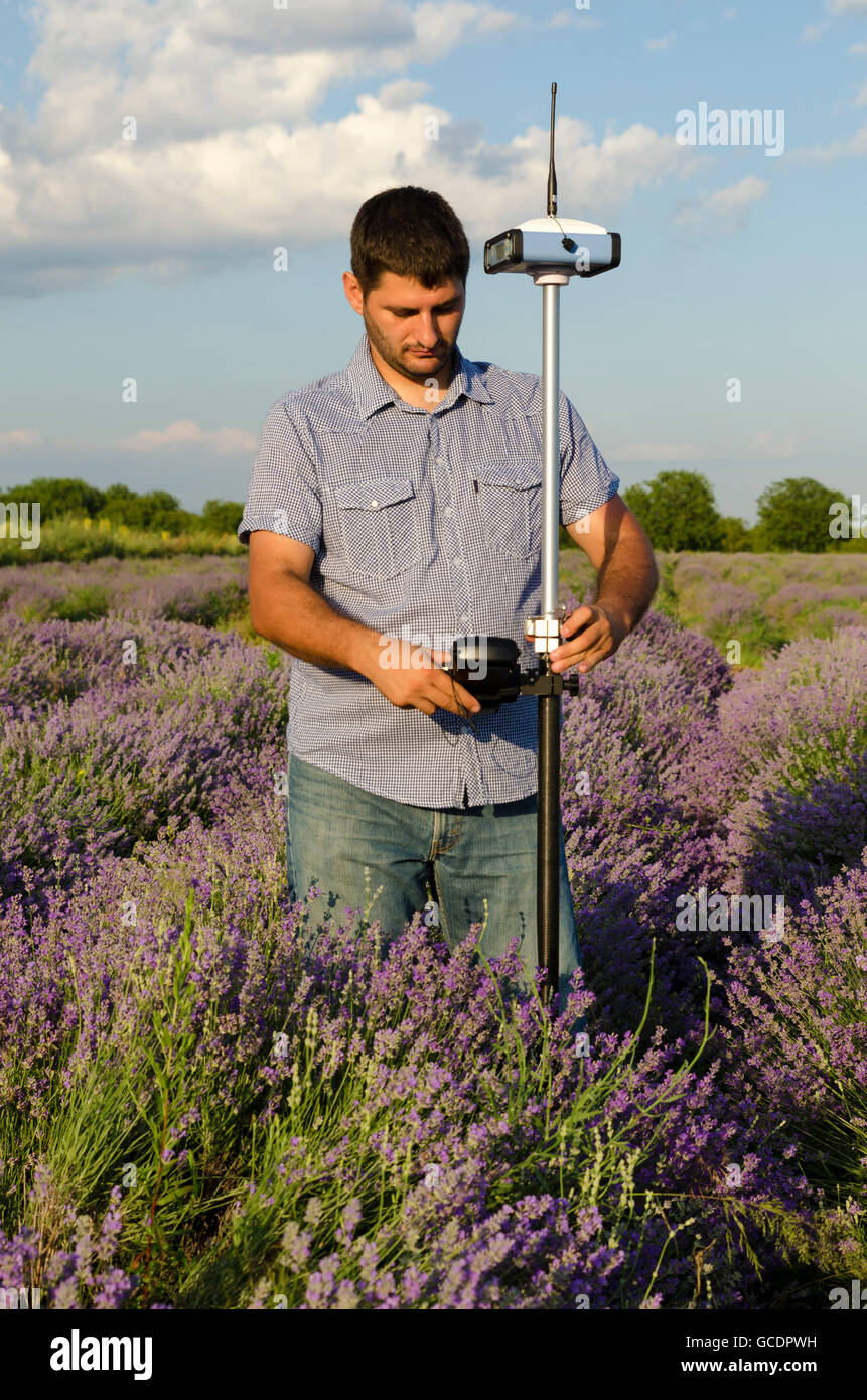 Landvermesser Anpassung sein Instrument in einem Feld von Lavendel Stockfoto
