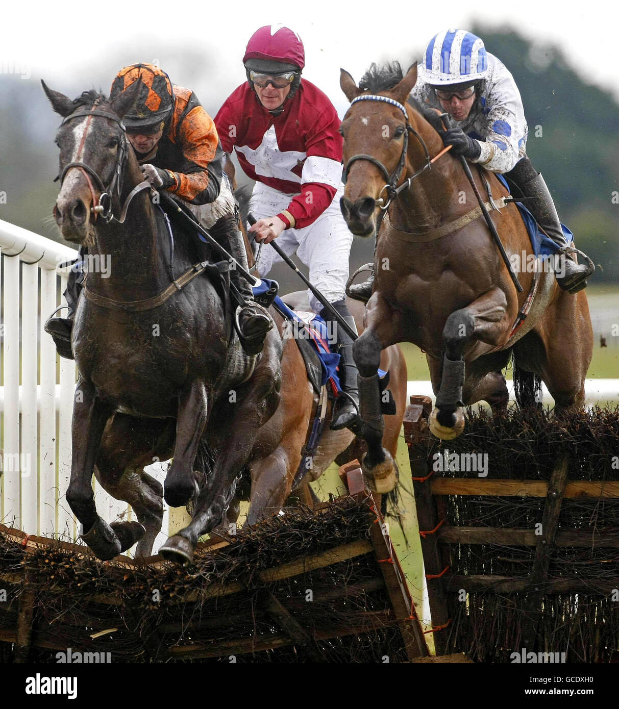 Horse Racing - Oster-Festival - Tag drei - Fairyhouse Racecourse Stockfoto
