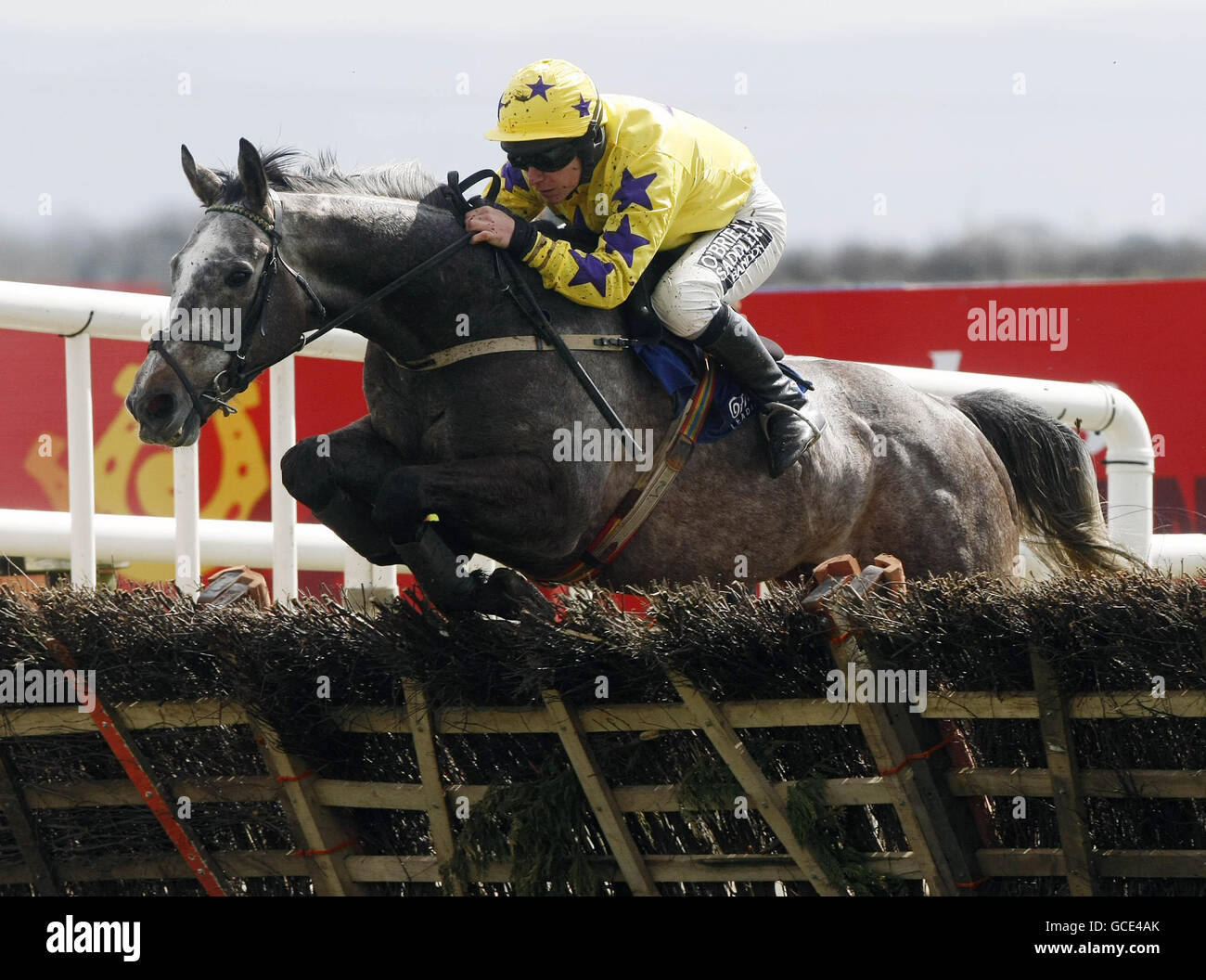 Horse Racing - Oster-Festival - Tag vier - Fairyhouse Racecourse Stockfoto