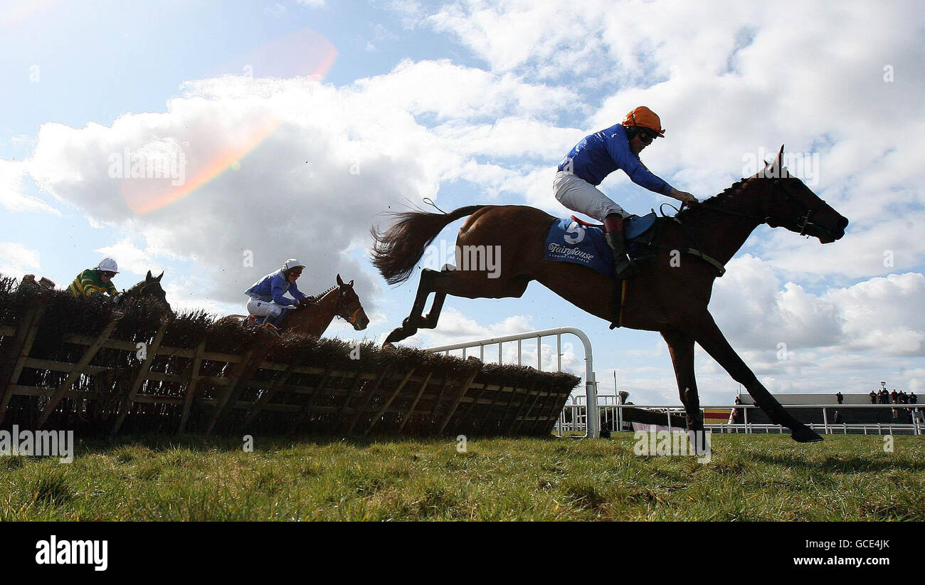 Horse Racing - Oster-Festival - Tag vier - Fairyhouse Racecourse Stockfoto