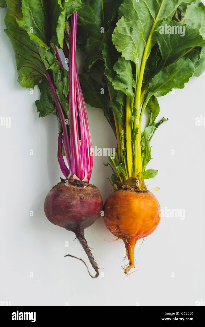 Yellow beets -Fotos und -Bildmaterial in hoher Auflösung – Alamy