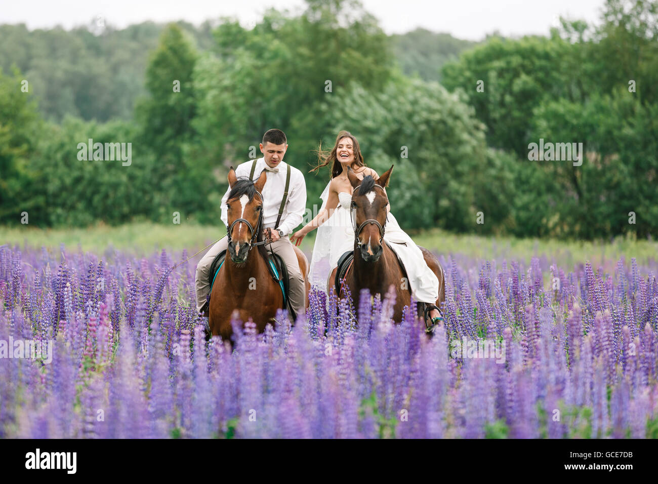 Die Braut und Bräutigam Reiten auf dem Pferd über ein Feld von lupine Stockfoto