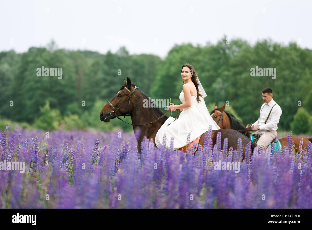 Die Braut und Bräutigam Reiten auf dem Pferd über ein Feld von lupine Stockfoto
