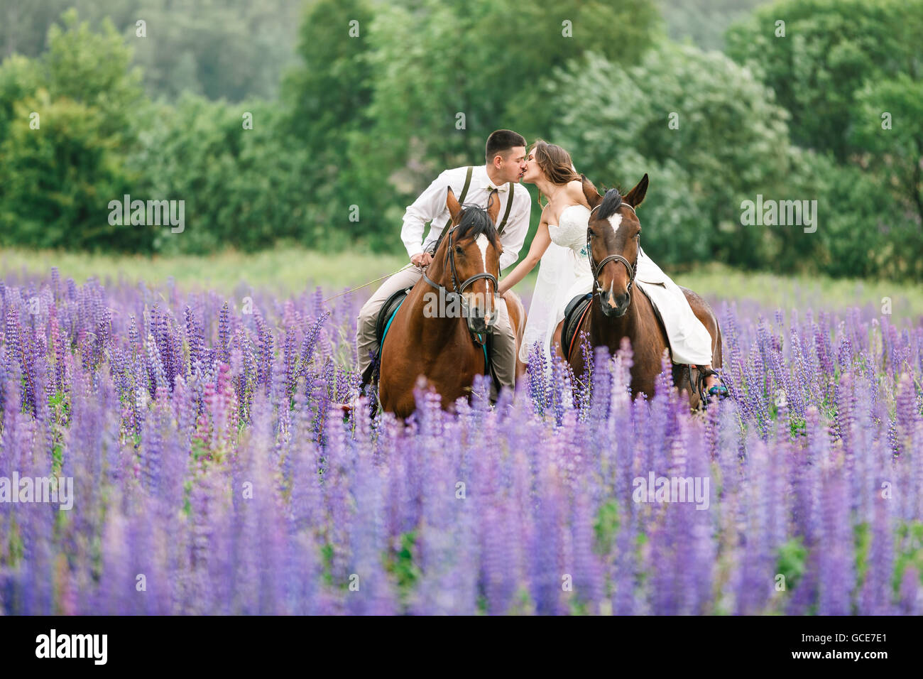 Die Braut und Bräutigam Reiten auf dem Pferd über ein Feld von lupine Stockfoto