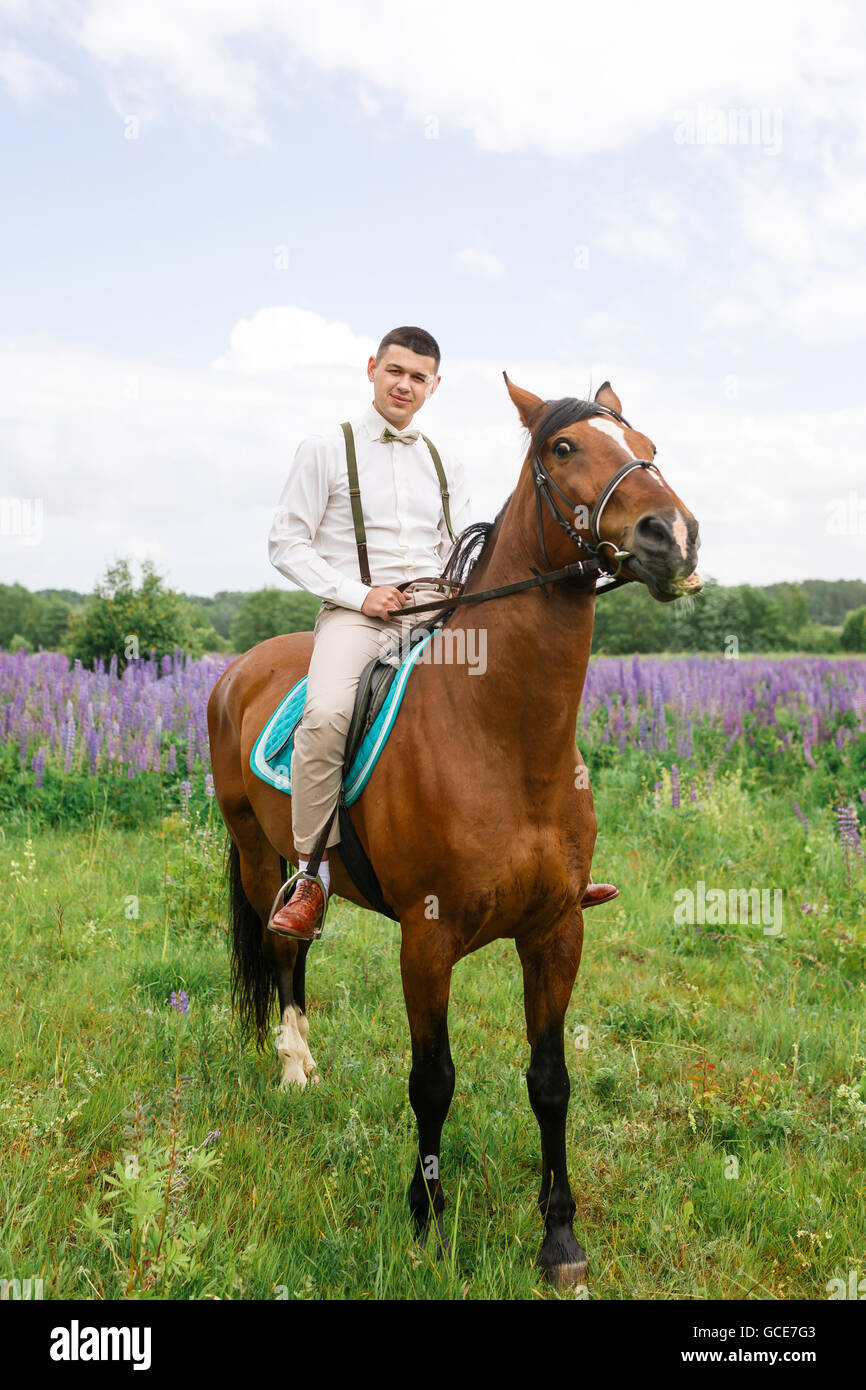 Der Bräutigam, Reiten auf dem Pferd über ein Feld von lupine Stockfoto