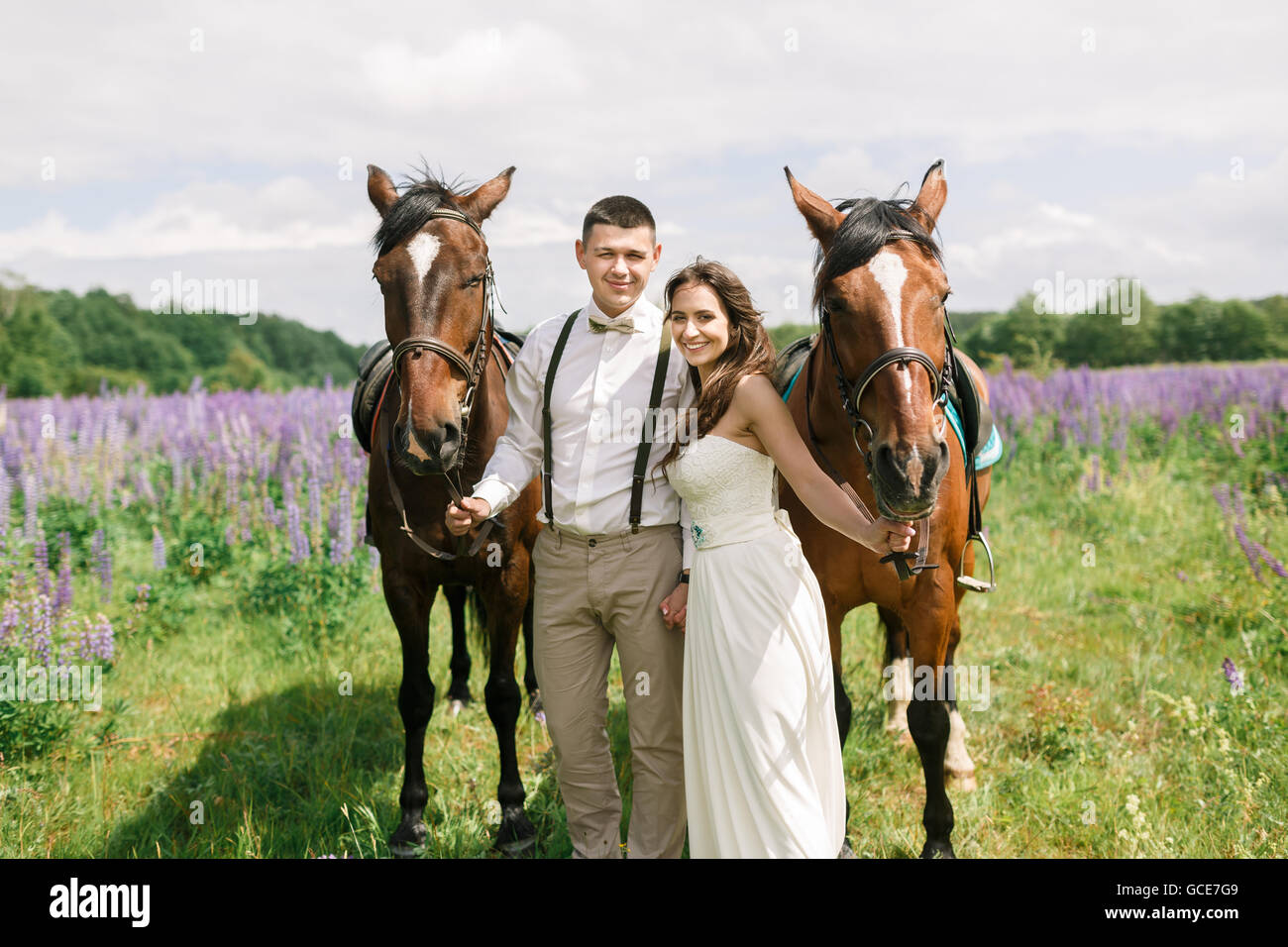 Glückliches Hochzeitspaar stehend mit Pferden auf einem Feld von lupine Stockfoto