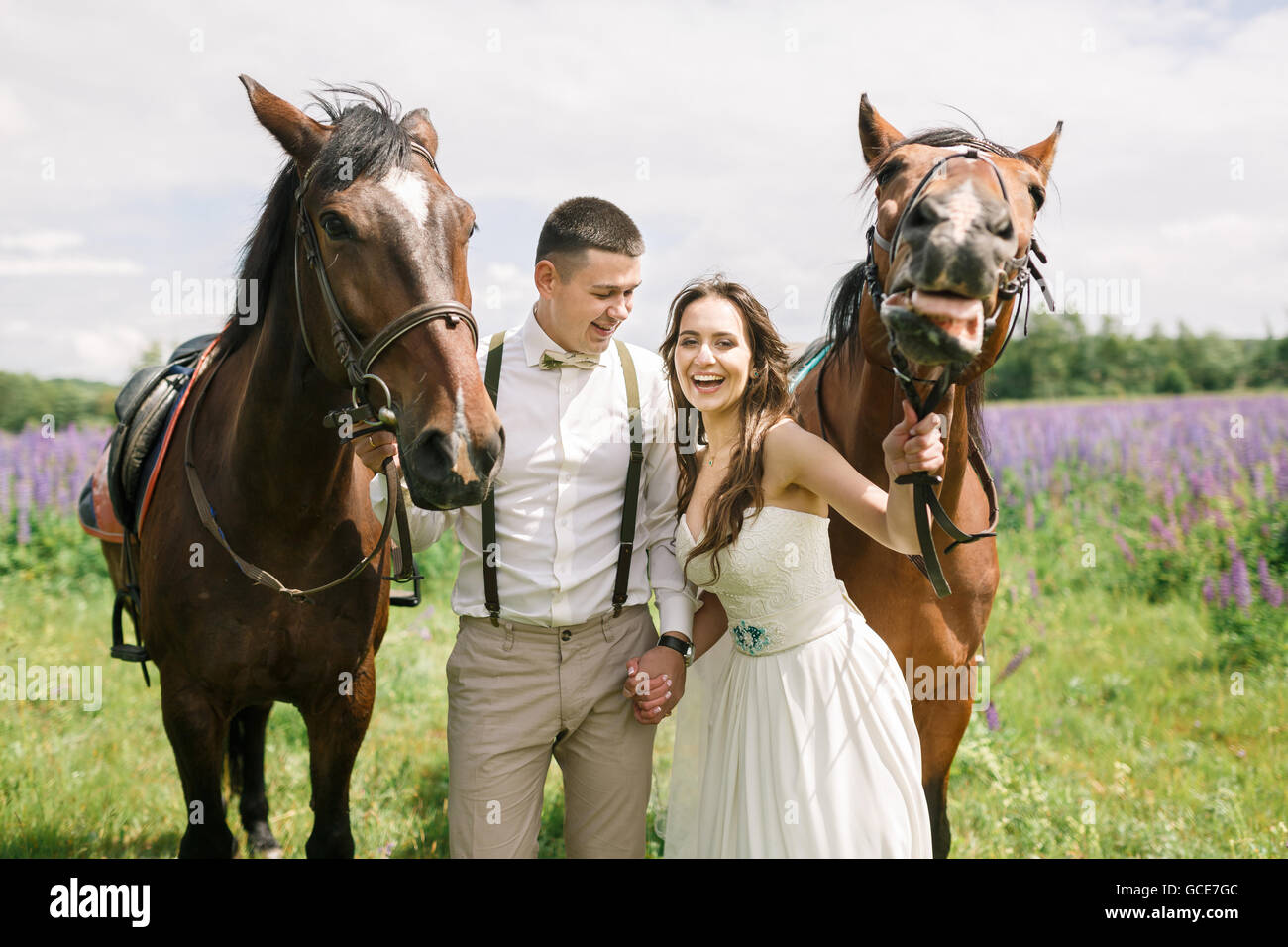 Glückliches Hochzeitspaar stehend mit Pferden auf einem Feld von lupine Stockfoto