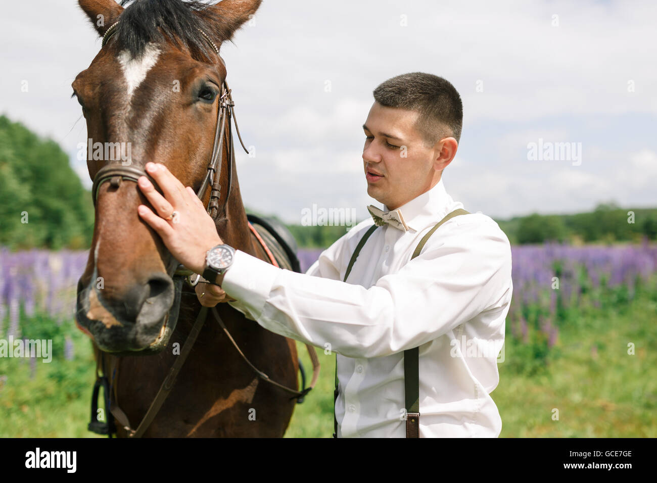 Der Bräutigam stehend mit Pferd auf einem Feld von lupine Stockfoto
