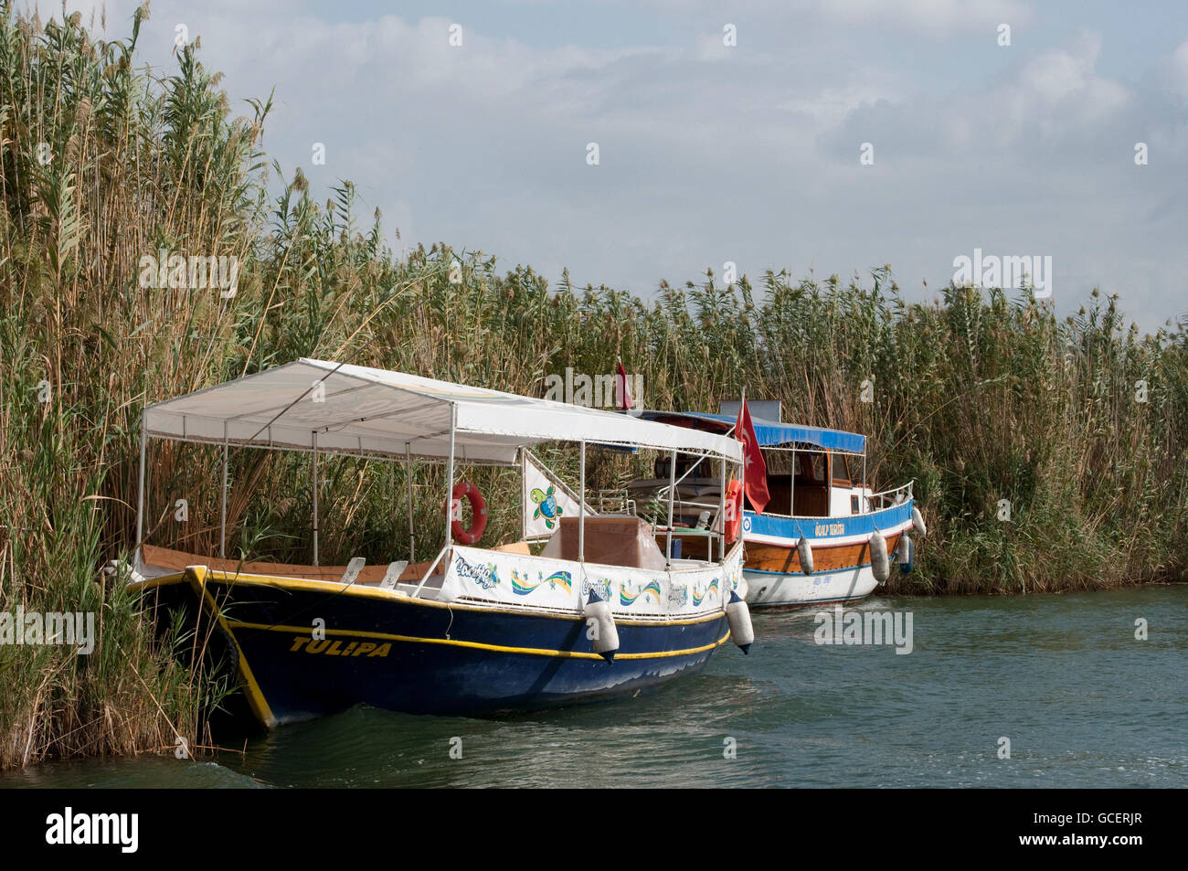 Boote in der Lagune von Dalyan, Lykien, Türkei, Asien Stockfoto