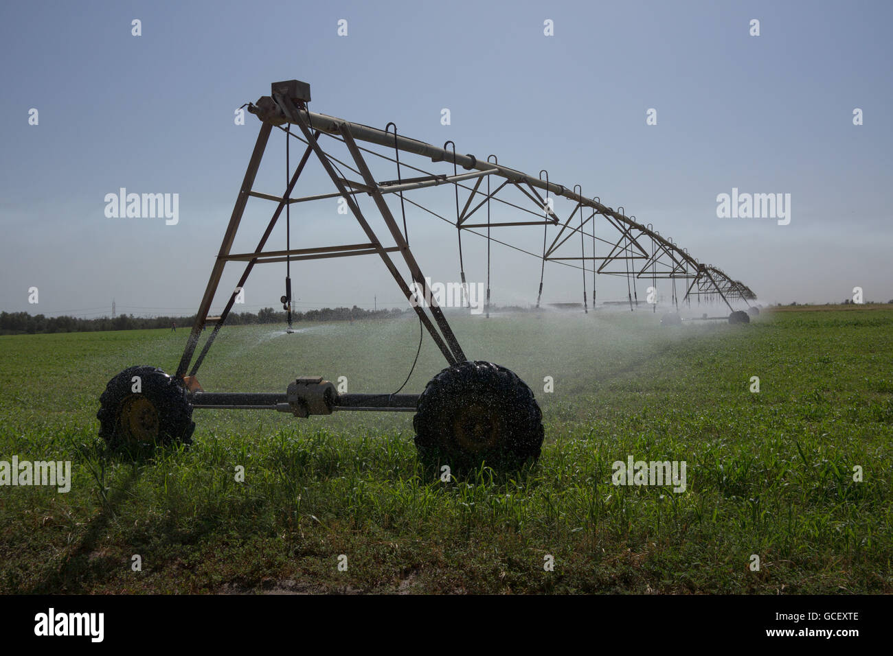 Groß angelegte Bewässerungssystem in einem einsamen Bauernhof Stockfoto