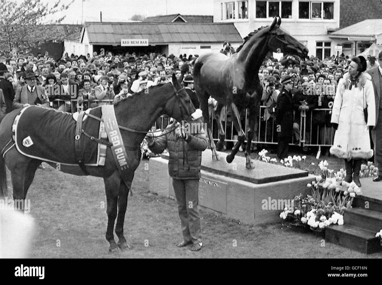 Die Prinzessin Royal bewundert Philip Blackers lebensgroße Bronzestatue des dreifachen Grand National Gewinners Red Rum, während das 23 Jahre alte Pferd in Aintree, Liverpool, geführt wird, um seine Replik zu sehen. Die Prinzessin enthüllte die Bronze vor dem Beginn des 150-jährigen Jubiläums Seagram Grand National. Stockfoto