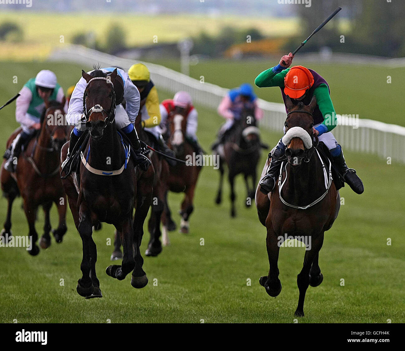 Pferderennen Sie-Curragh Rennbahn Stockfoto