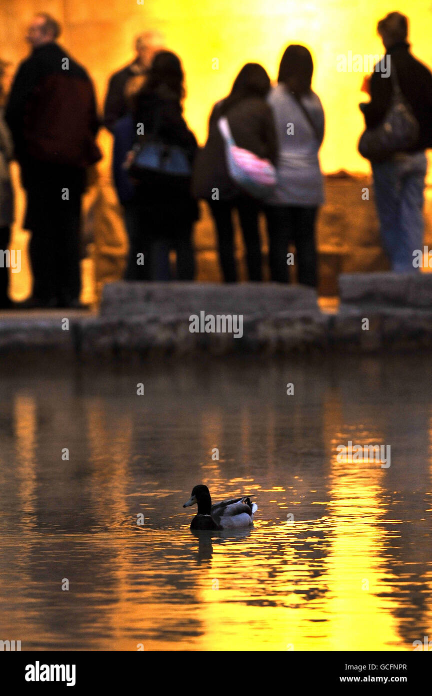 Auf dem leicht dampfenden heißen Wasser im Großen Bad lässt sich eine mallardenartige Ente nieder, während Touristen im Hintergrund die verlängerten Öffnungszeiten der römischen Bäder in Bath nutzen, wo sie bis spät in die Nacht als Teil der 'Museen bei Nacht 2010' geöffnet wurde. Stockfoto