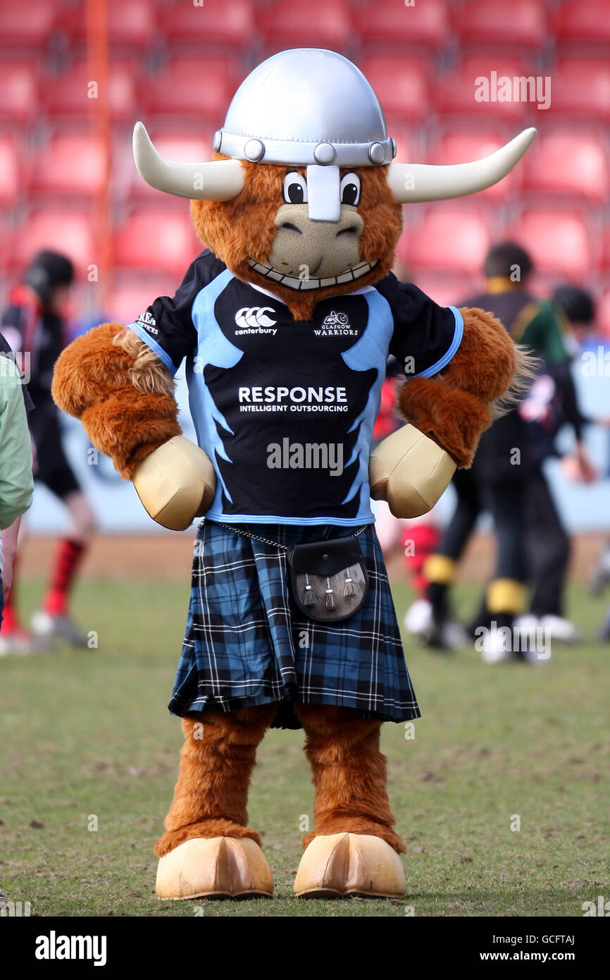 Fußball - Magners League - Glasgow Warriors gegen Newport-Gwent Dragons - Firhill. Maskottchen der Glasgow Warriors, Clyde, die Highland Cow Stockfoto