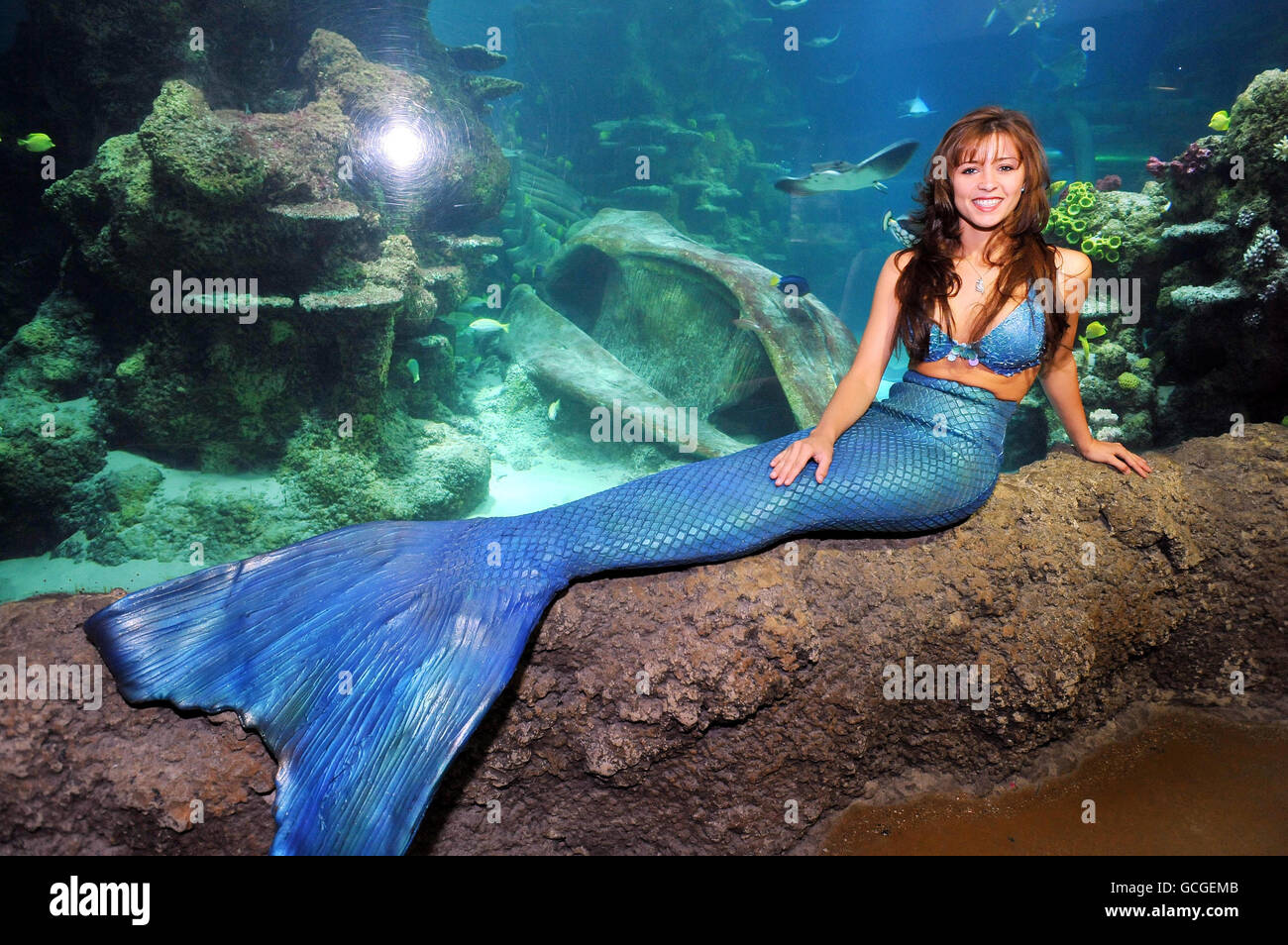 Shannon Tooker ein Mitglied der Weeki Wachee Mermaids synchronisierte Unterwasseraquabatiktruppe am Ocean Reef im Sea Life London Aquarium. Stockfoto