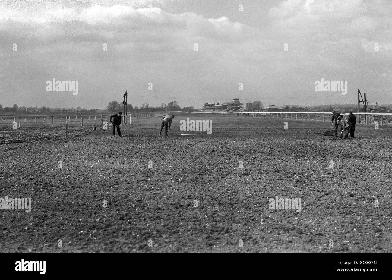 Newbury wird die modernste Rennstrecke sein, wie es die Vorbereitungen sind Gemacht, um die gerade Meile neu zu Rasen Stockfoto