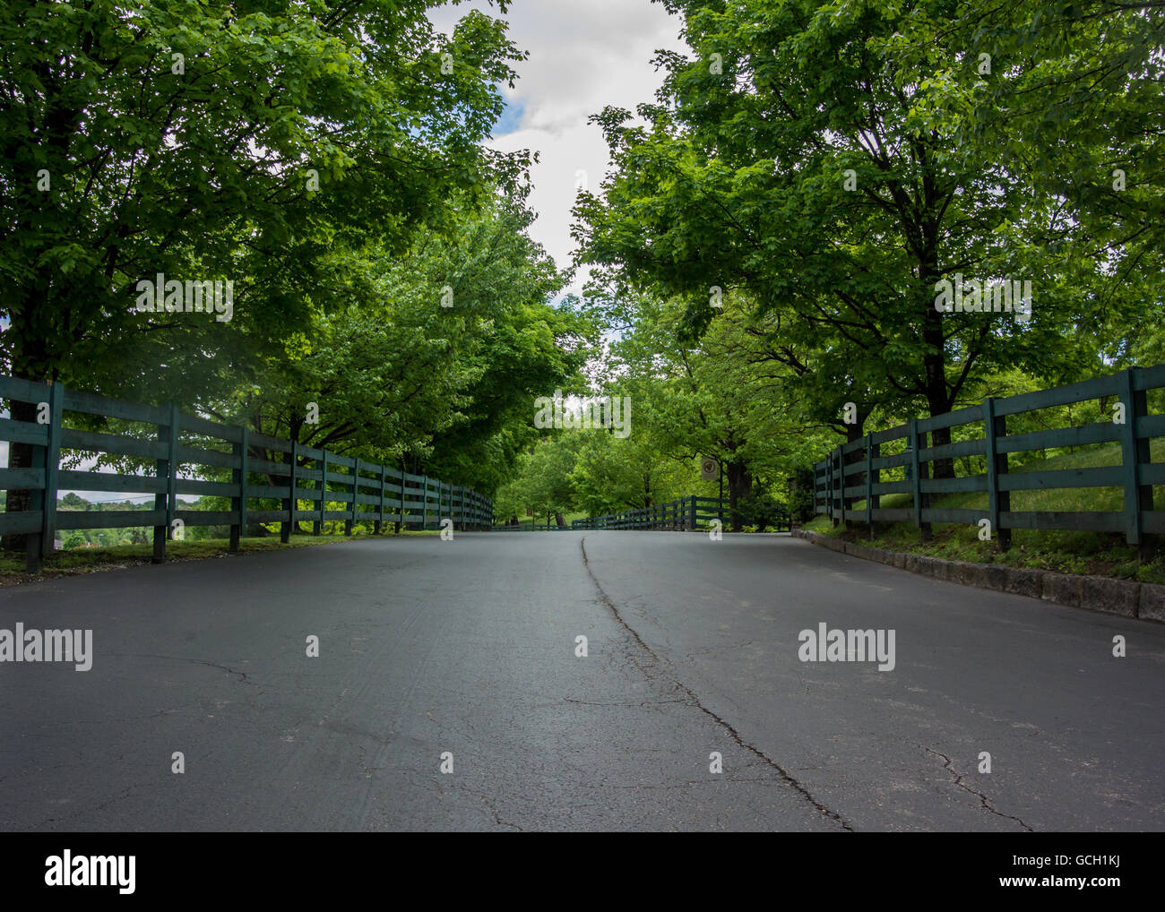 Niedrigen Winkel der Zaun gesäumten Weg in Kentucky Stockfoto