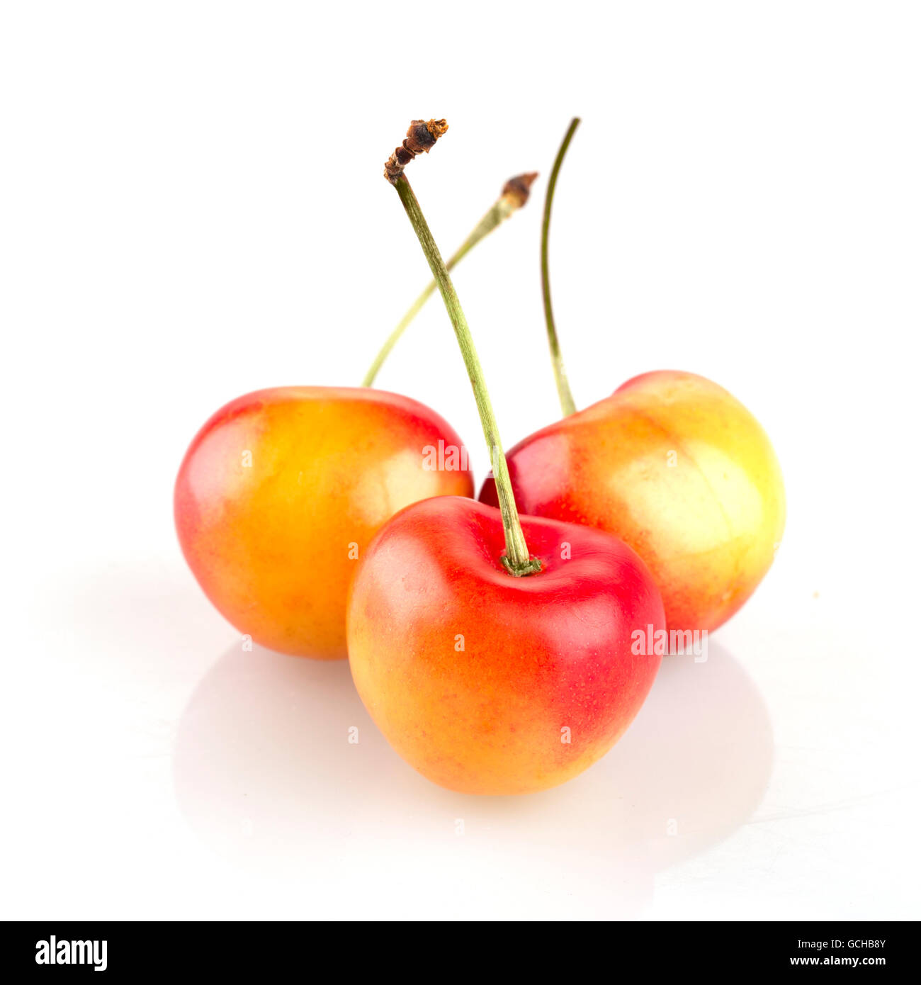 Drei rainier Kirschen isoliert auf weißem Hintergrund Stockfoto