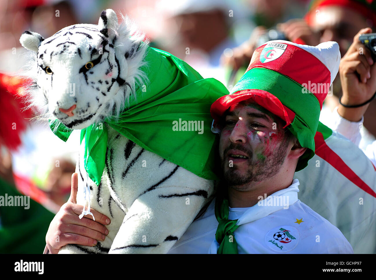 Ein algerischer Fan zeigt seine Unterstützung, in den Tribünen vor dem Anpfiff Stockfoto