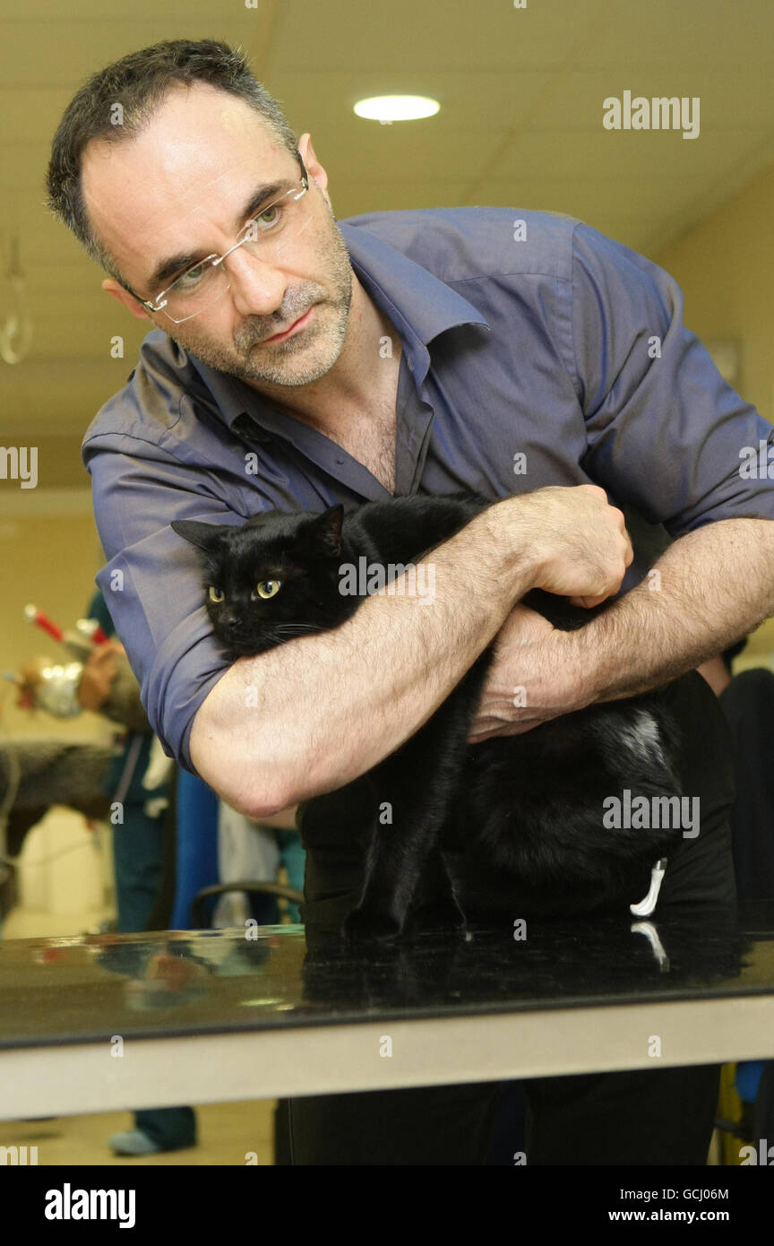 Noel Fitzpatrick, neuro-orthopädischer Chirurg, mit Oscar, der Katze, der er ein Paar prothetische Pfoten gegeben hat, bei Fitzpatrick Referrals in Eyshing, Surrey. Stockfoto