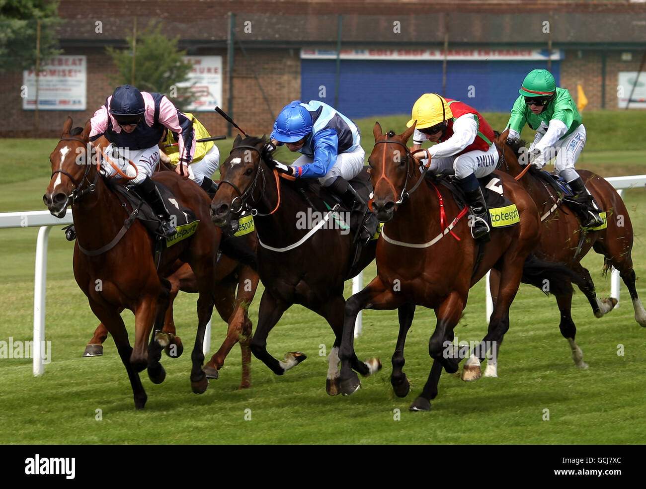 -Totepool irischen Regattatag - Sandown Park Pferderennbahn Stockfoto