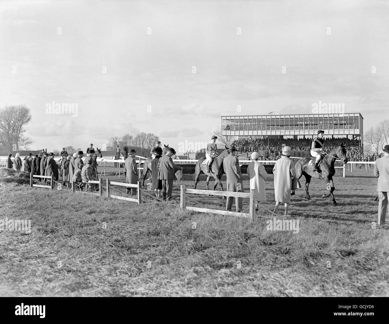 Pferderennen - Hennessy Cognac Gold Cup - Newbury Racecourse Stockfoto