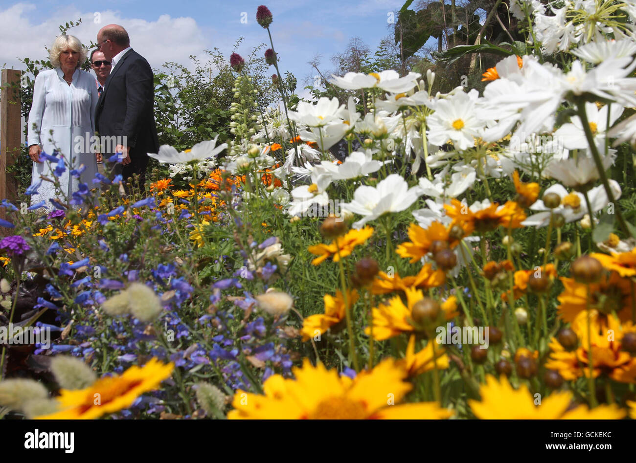 Camilla besucht Hampton Court Flower Show Stockfoto