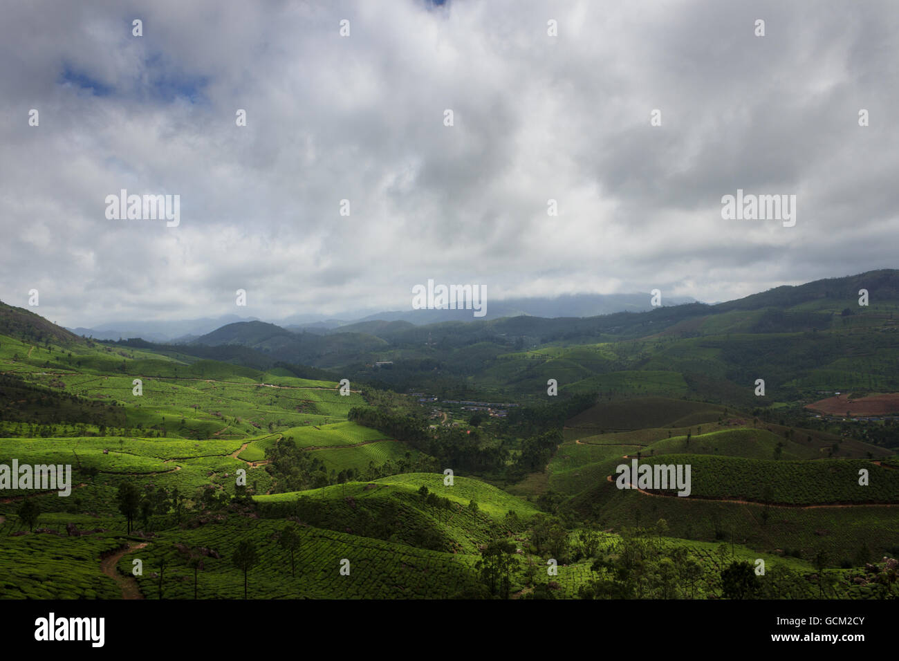 Hügel in Teeplantagen bei bewölktem Himmel in Munnar, Kerala, Indien Stockfoto