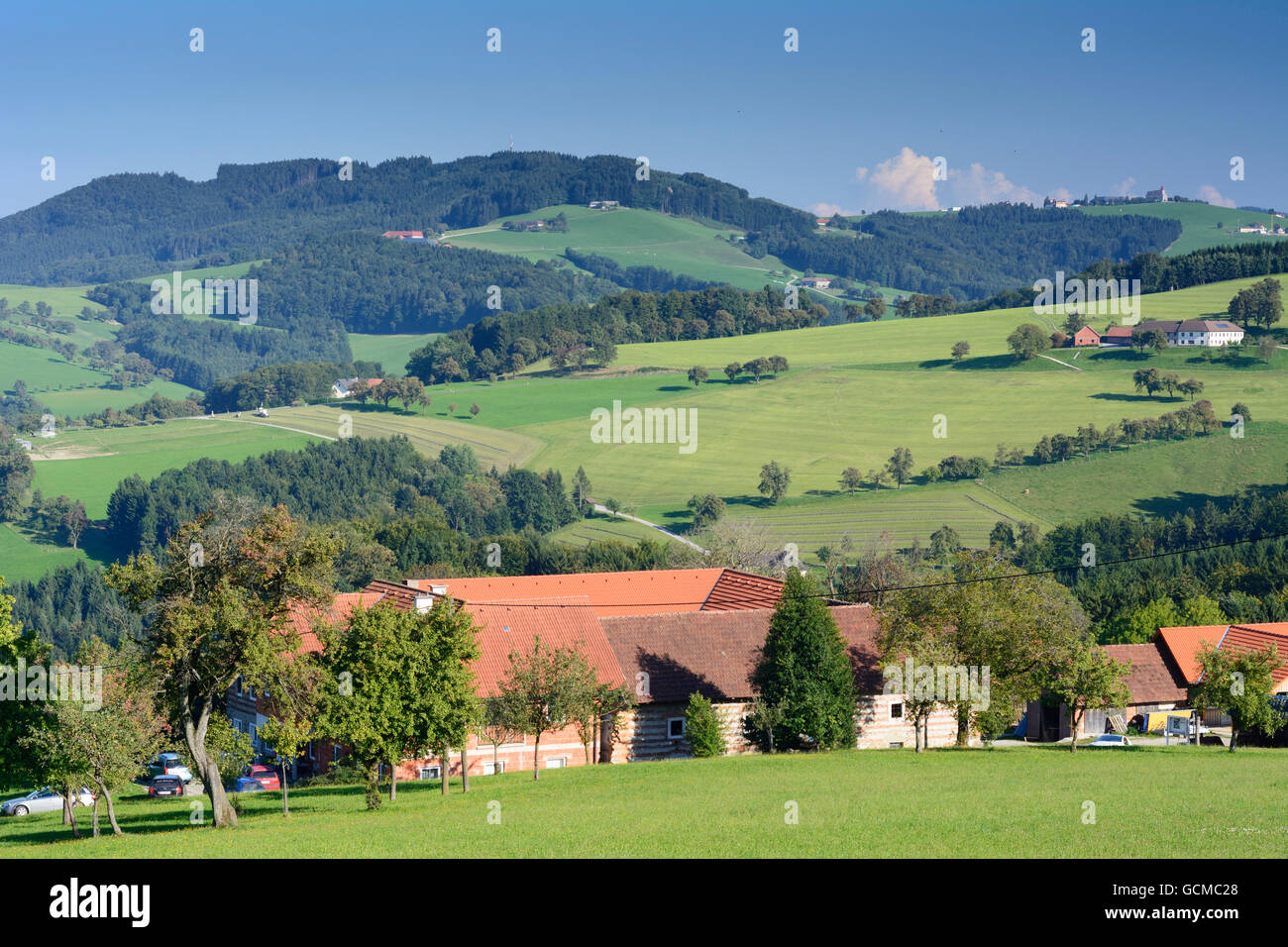 Behamberg Quadratyard Häuser, Birne Bäume Österreich Niederösterreich, untere Österreich Mostviertel Stockfoto