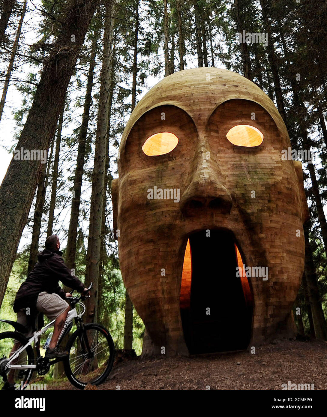 Die Skulptur Silvas Capitalis (latein für Waldkopf) von Simparch steht im Keider-Wald in Norhthumberland, der für Wanderer und Besucher konzipiert wurde, um sich auszuruhen und vor den Elementen zu schützen. Stockfoto