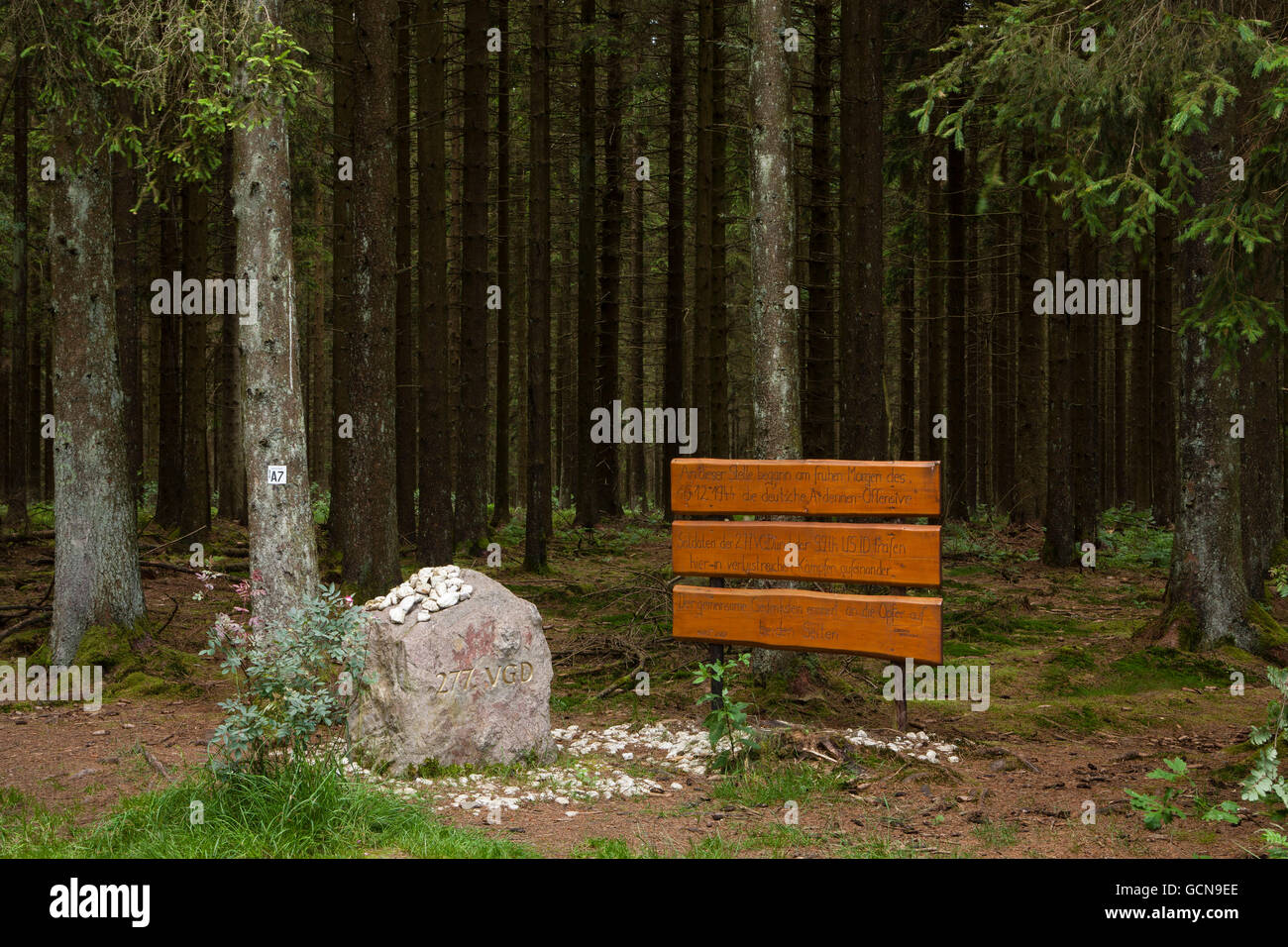 Europa, Deutschland, Nordrhein-Westfalen, Gedenkstein und Plaque die Ardennenoffensive in einem Wald in der Nähe von Hellenthal-Holler Stockfoto