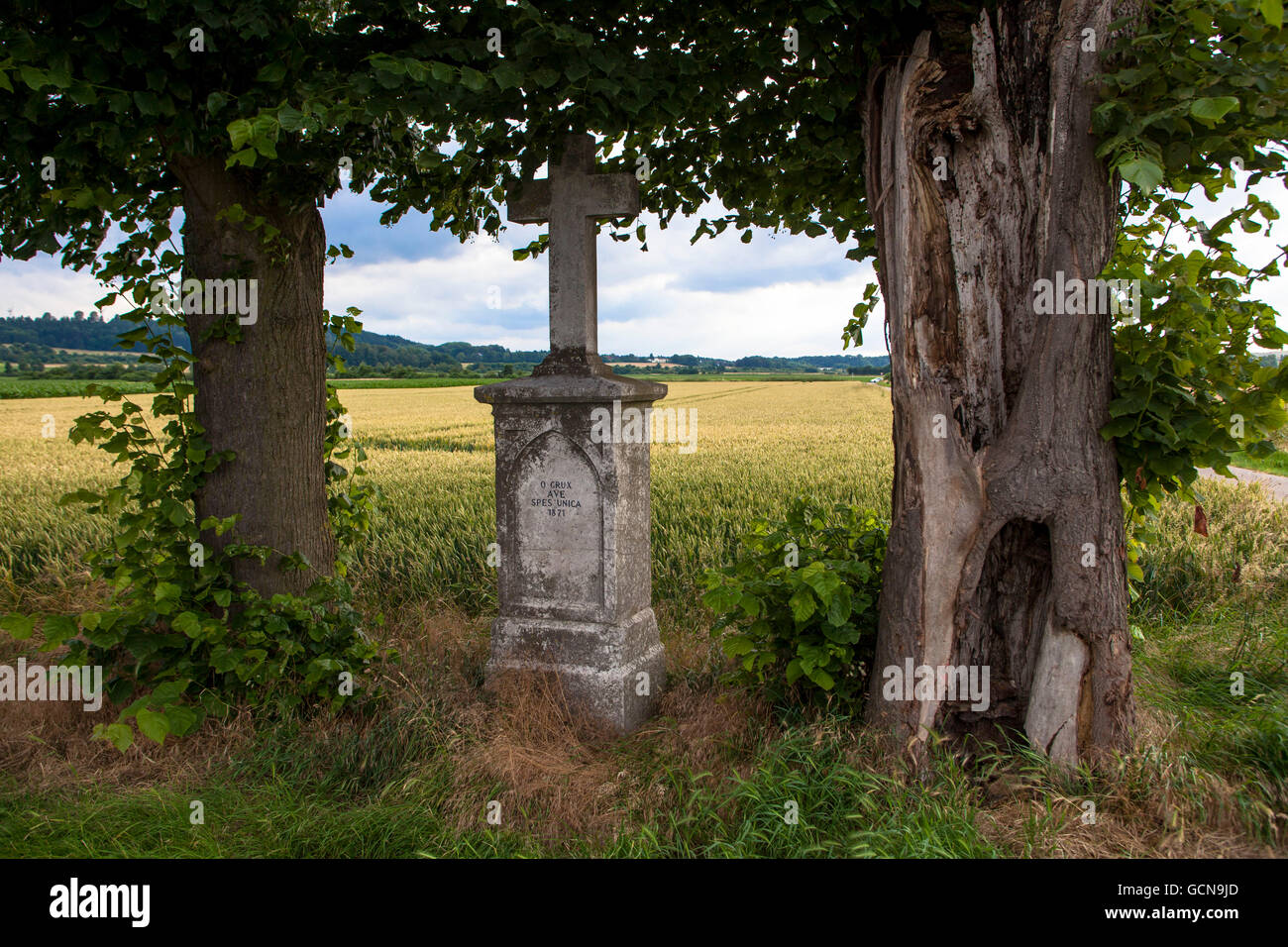 In der Nähe von Eschweiler-Weisweiler, Europa, Deutschland, North Rhine-Westphalia, Straße überqueren. Stockfoto