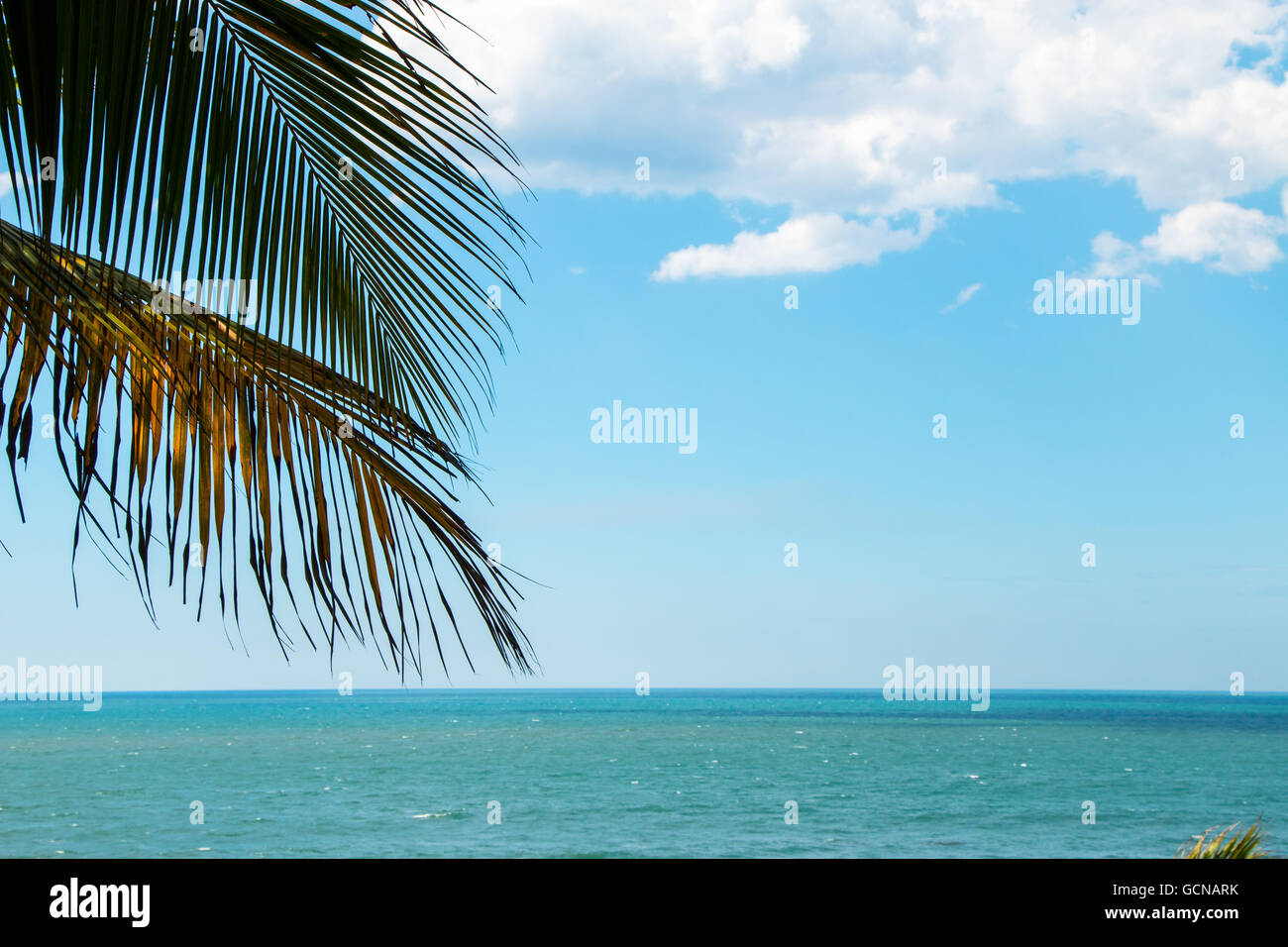 Paradies-Blick auf den Pazifischen Ozean in Playa el Tunco, El Salvador Stockfoto