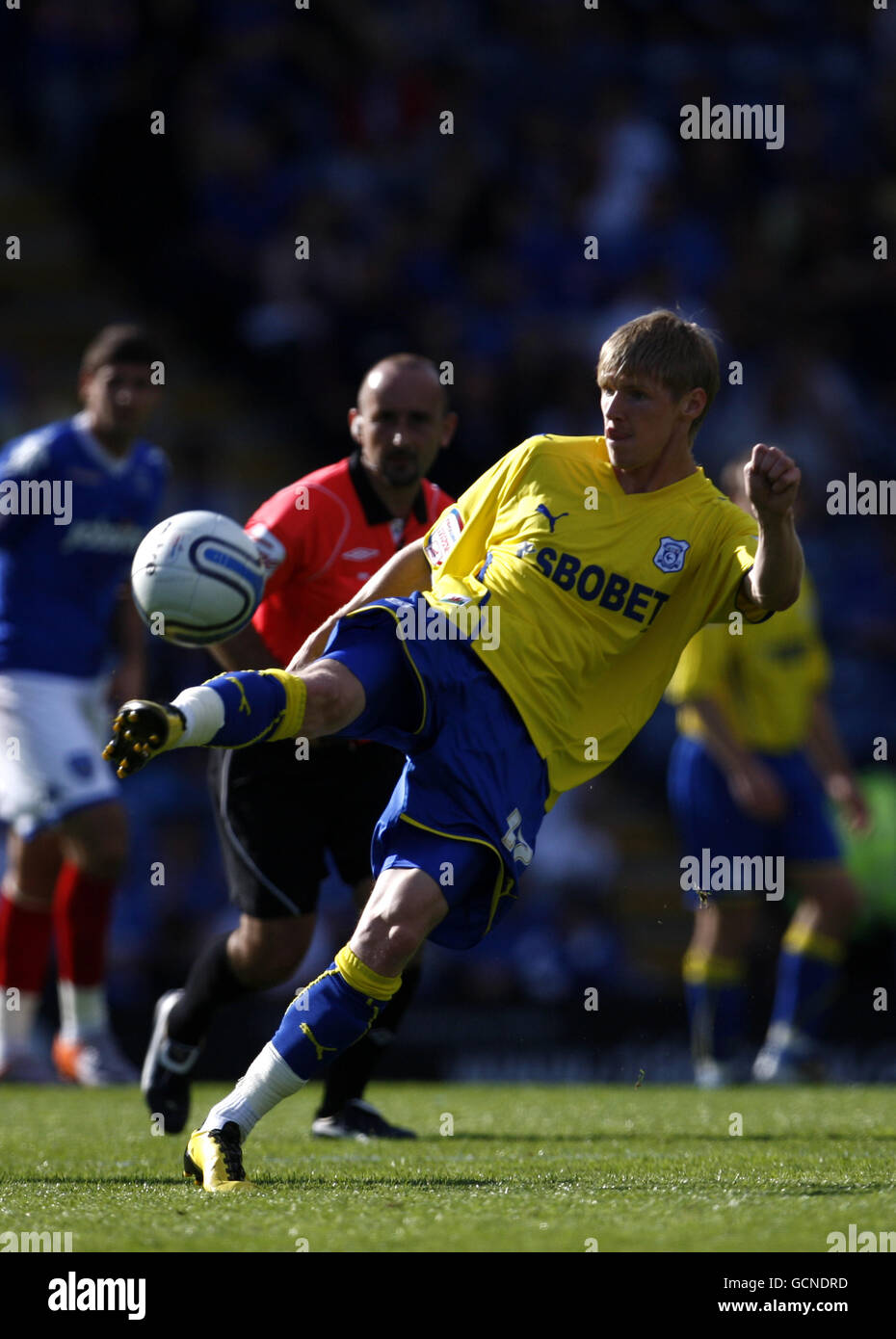 Fußball - npower Football League Championship - Portsmouth gegen Cardiff City - Fratton Park. Andy Keogh von Cardiff City während des npower Championship-Spiels im Fratton Park, Portsmouth. Stockfoto