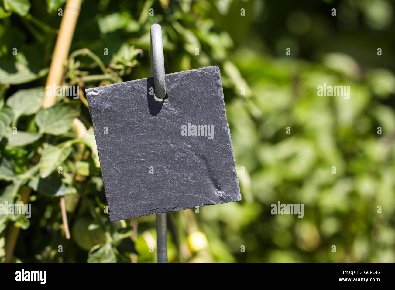 Schiefer Garten label Stockfoto