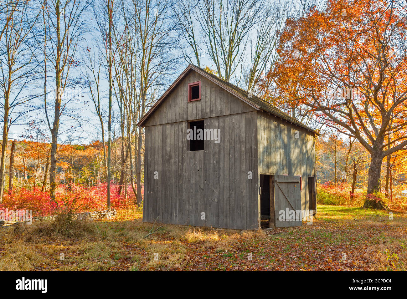 Verlassene Holzhütte im Wald in den Farben des Herbstes Stockfoto