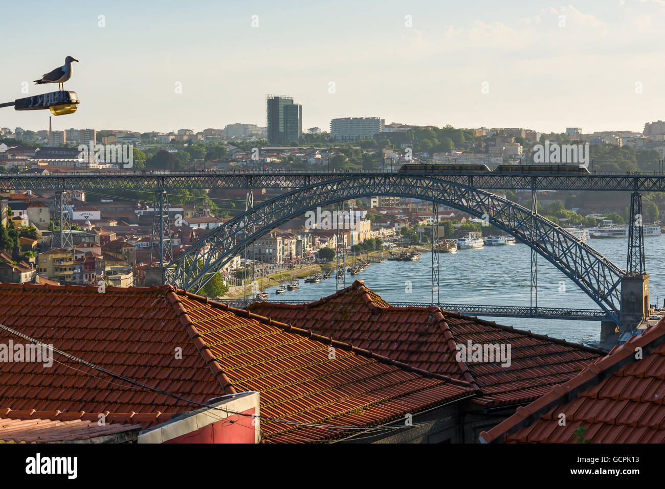 Möwe, genießen den Blick auf den Dom Luis ich (oder Luiz ich) Brücke über den Fluss Douro in der Stadt Porto. Portugal. Stockfoto