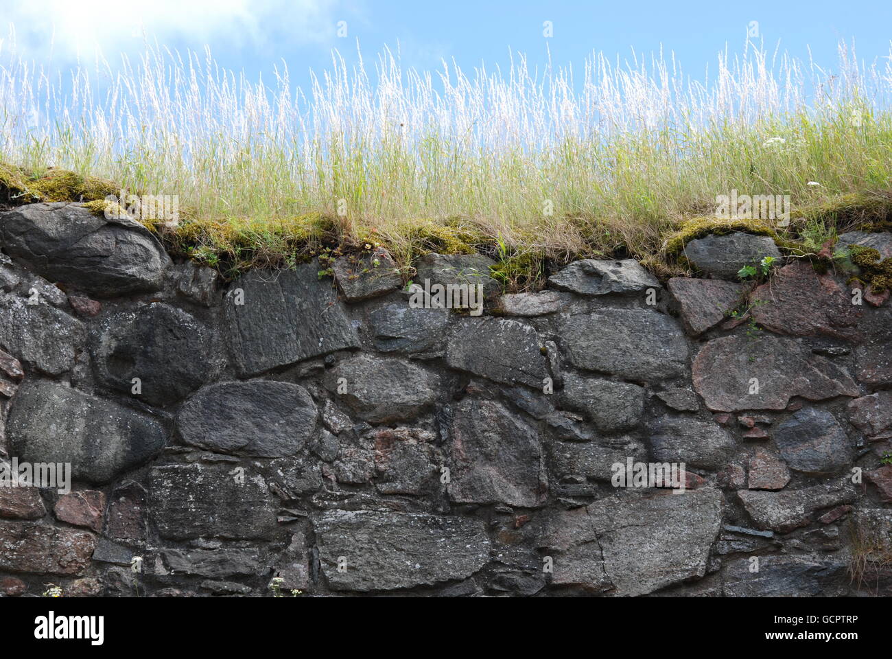 Steinmauer mit grass Stockfoto