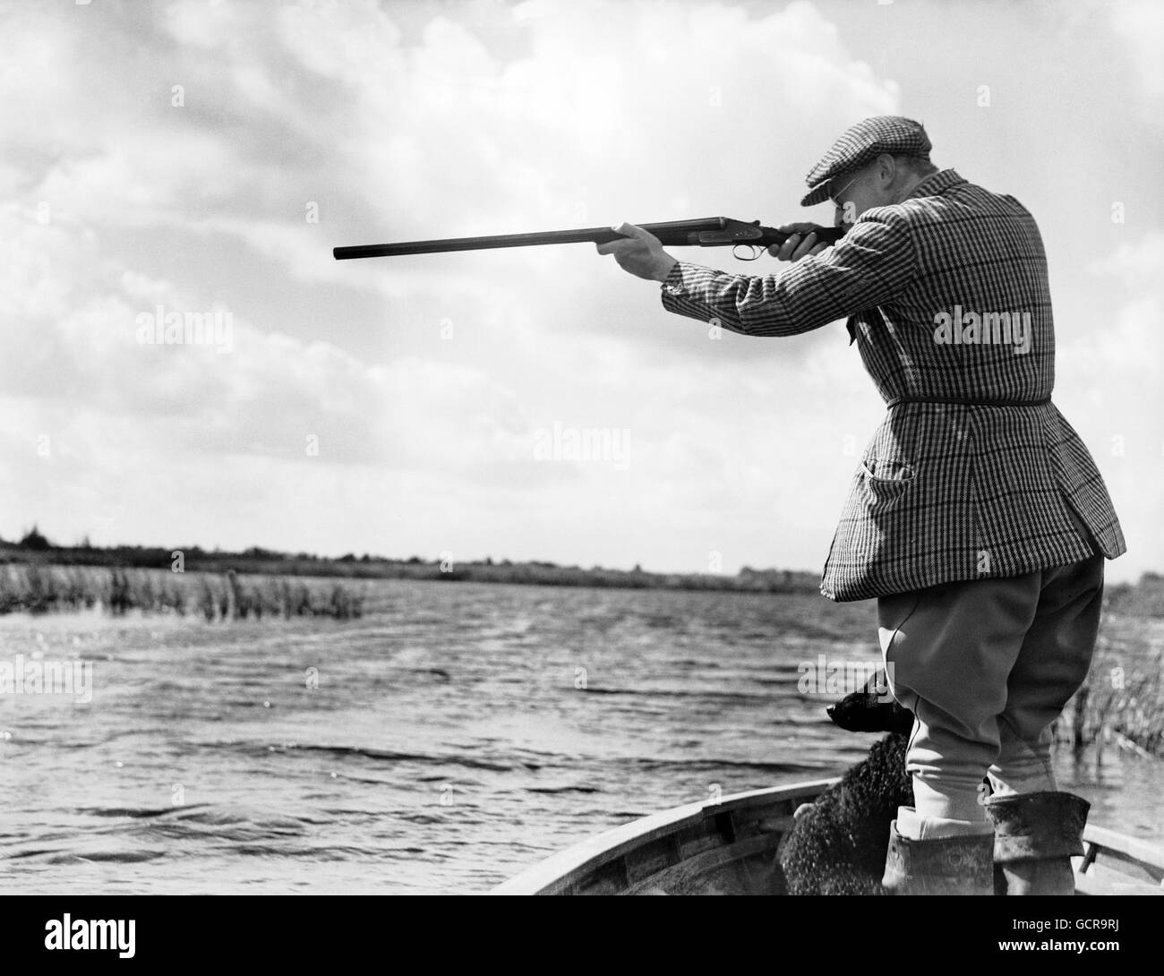Jagd - Duck Shoot - Norfolk Broads Stockfoto