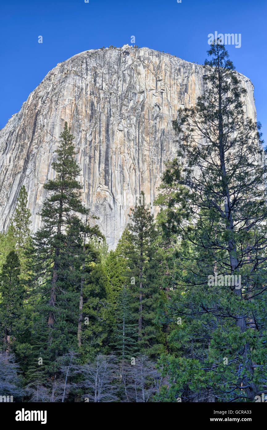 El Capitan, Yosemite-Nationalpark, Kalifornien Stockfoto