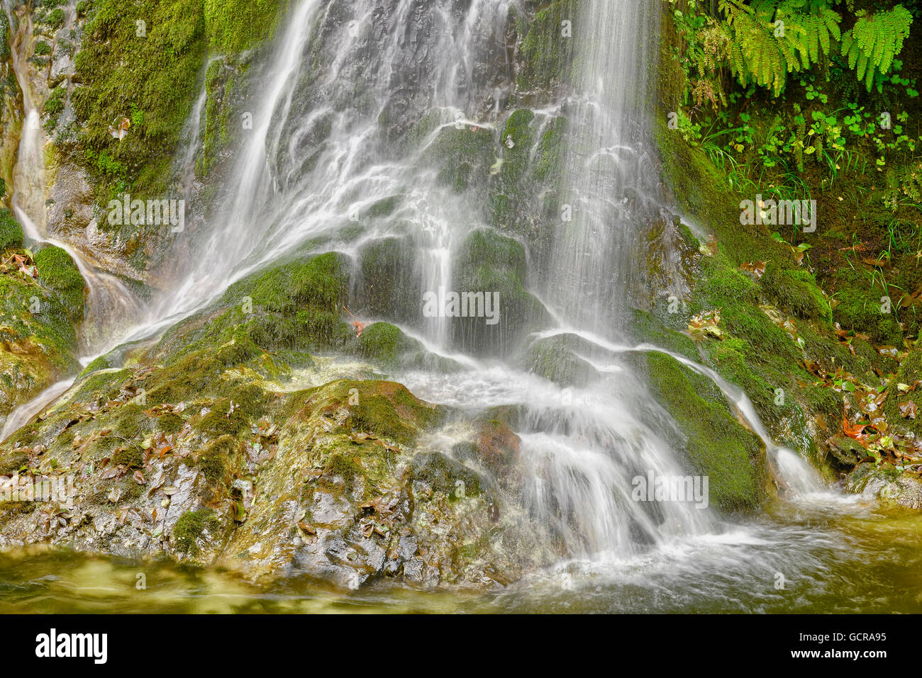 Salmon Creek Falls, Oregon Stockfoto