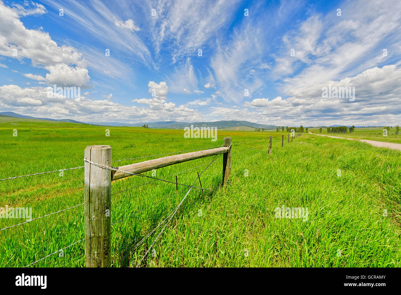 Offenem Grasland und den großen Himmel, Montana. Stockfoto