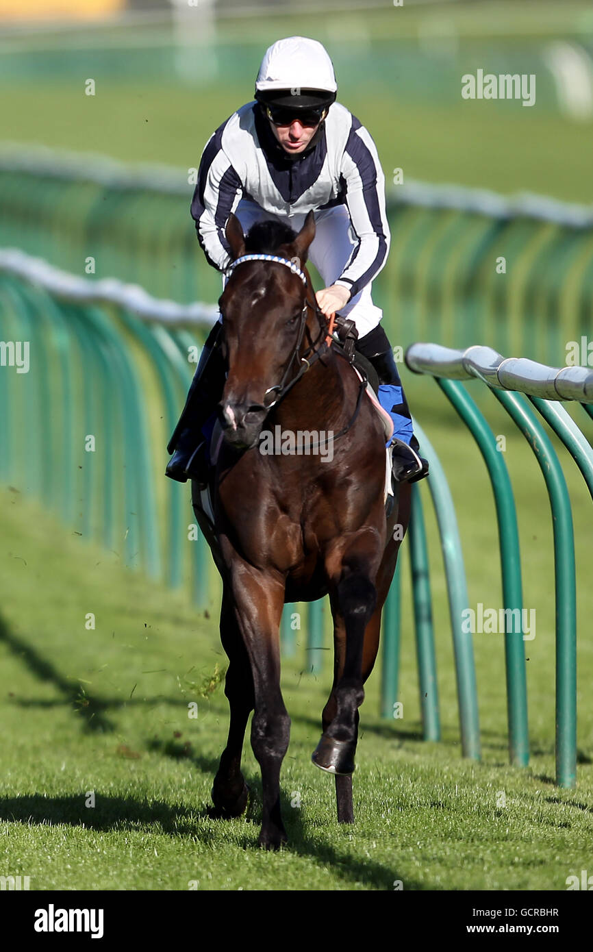 Pferderennen Sie-Nottingham Racecourse Stockfoto