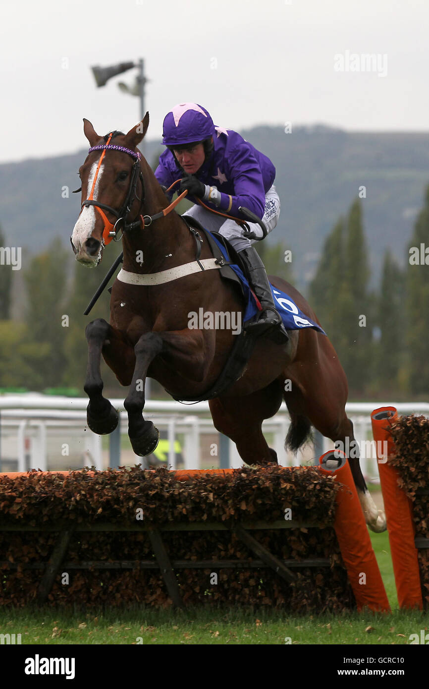 Jockey Joe Tizzard auf Ceepegee während des Neptune Investment Management Hürde Für Anfänger Stockfoto