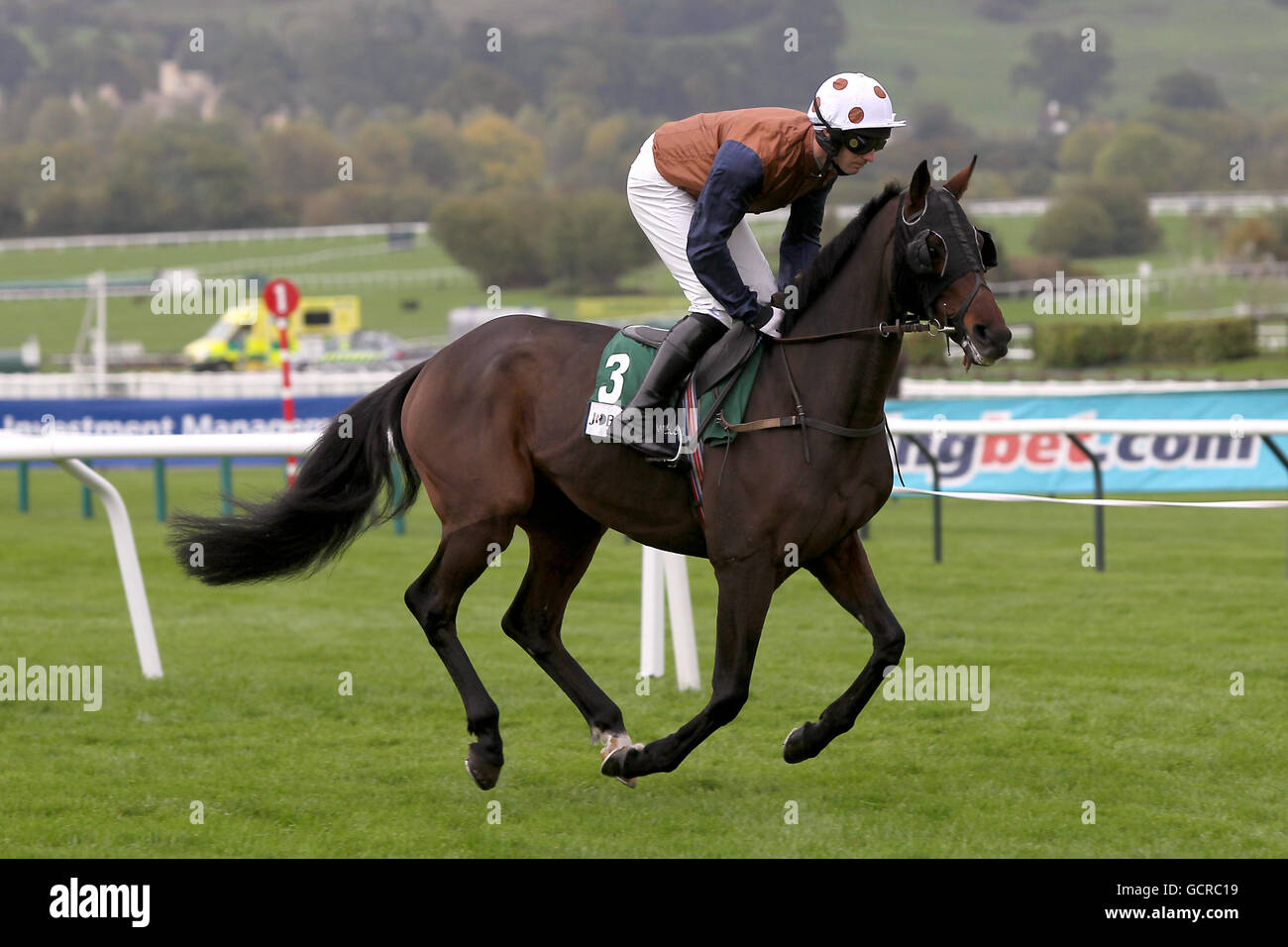 Jockey Danny Cook auf Raslan vor dem Pertemps Handicap Hürde Stockfoto