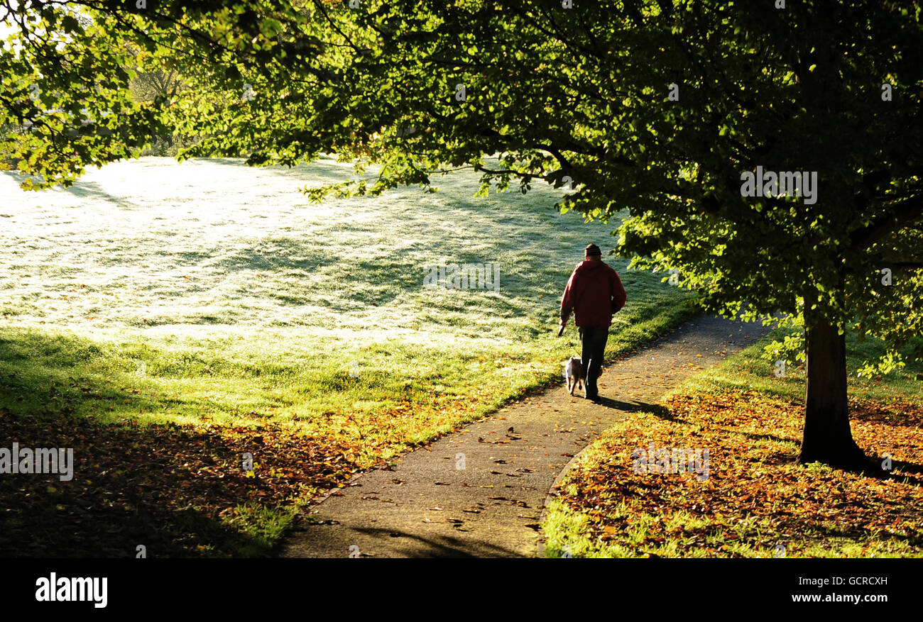 Ein Mann geht mit seinem Hund in einem Park in Burton, Staffordshire, zwischen Bodenfrost und gefallenen Blättern. Stockfoto