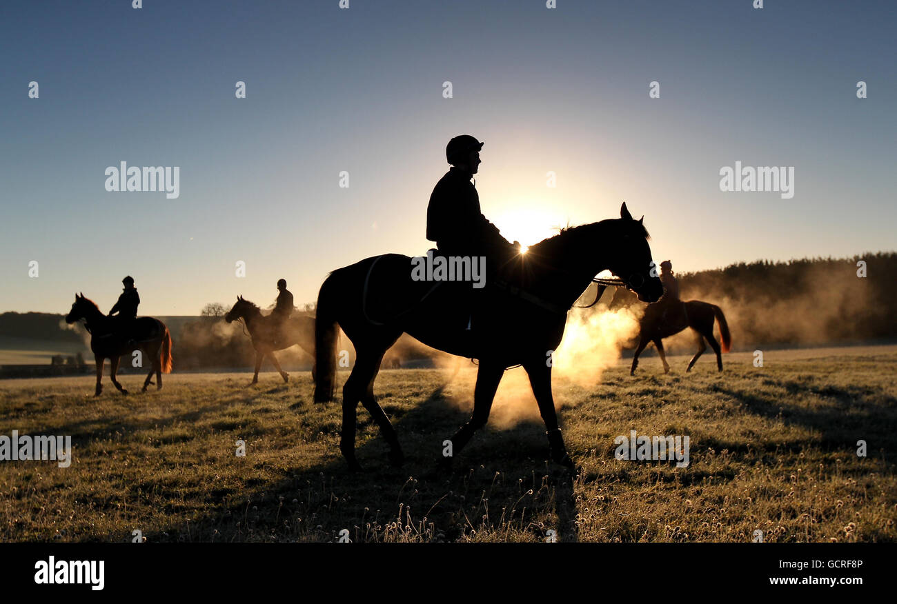 House horses Fotos und Bildmaterial in hoher Auflösung Alamy