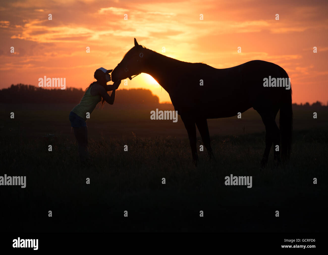Mädchen küsst ihr Pferd bei Sonnenuntergang Stockfoto