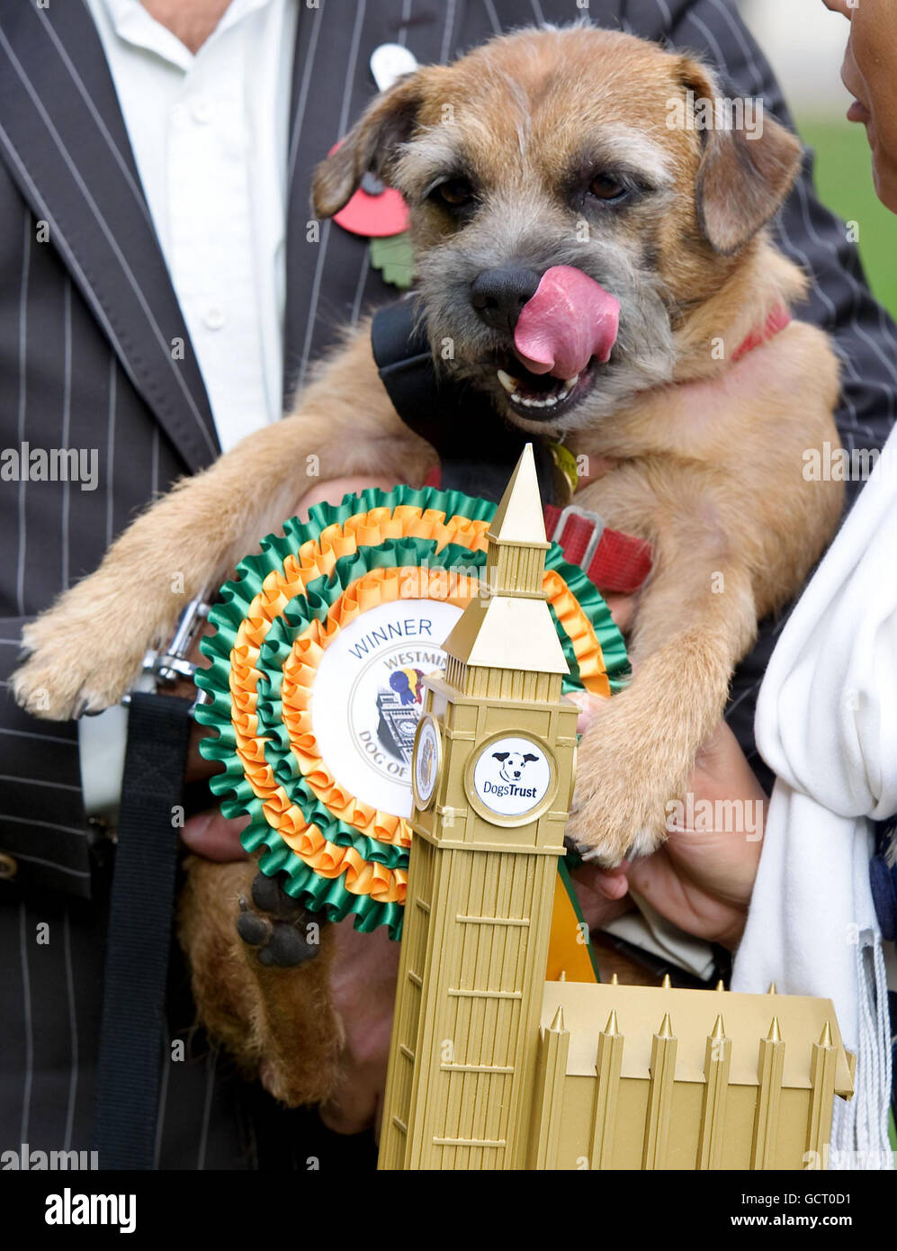 Charlie, der 5-jährige Border Terrier, der Helen Grant MP für Maidstone und The Weald angehört, wird als Gewinner des 18. Westminster Dog of the Year Wettbewerbs bekannt gegeben, der gemeinsam von Dogs Trust und dem Kennel Club in den Londoner Victoria Tower Gardens organisiert wird. Stockfoto